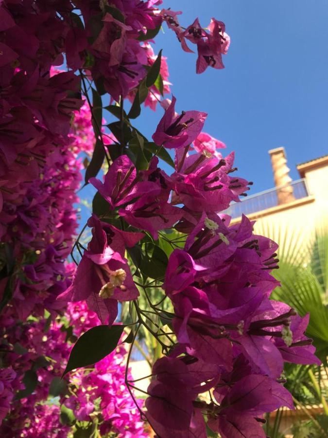 Les Jardins De Ryad Bahia Meknès Esterno foto